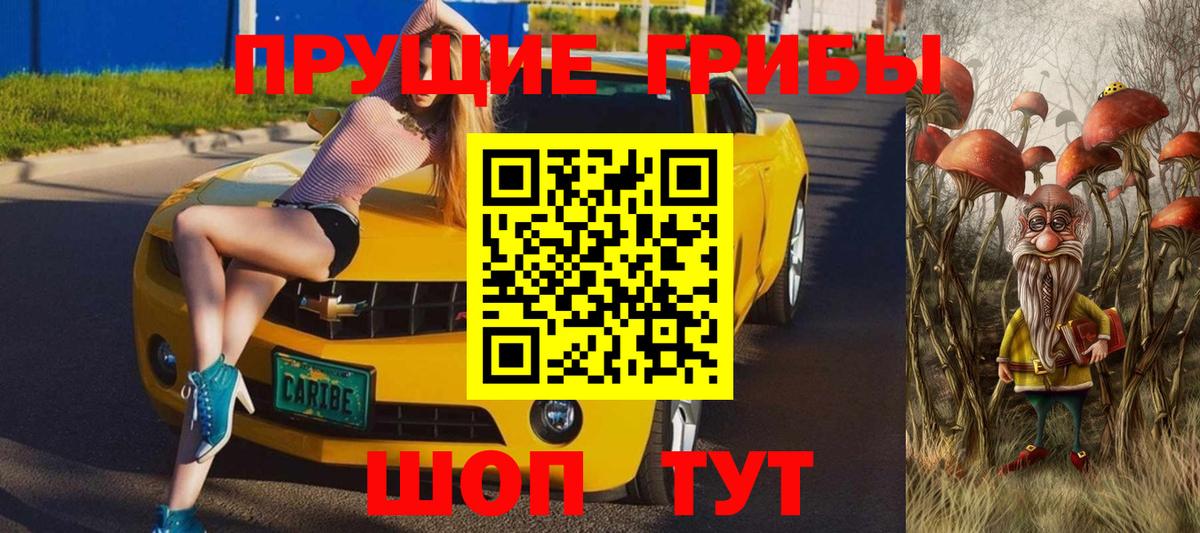 Псилоцибиновые грибы GOLDEN TEACHER  Вход с VPN  где можно купить наркотик  Прохладный 