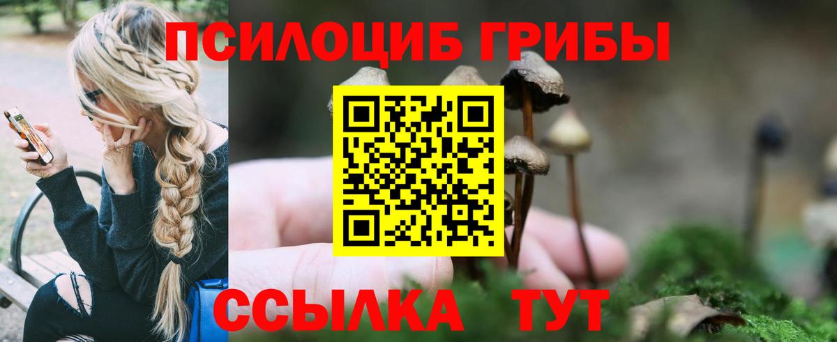 Галлюциногенные грибы Psilocybine cubensis Прохладный